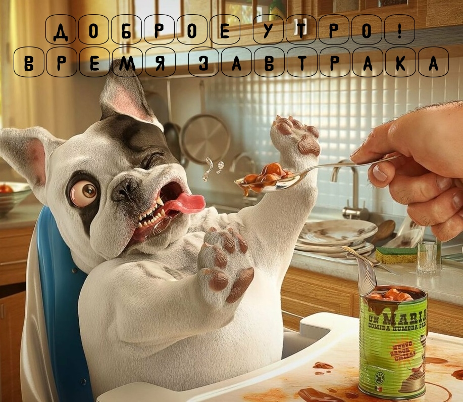 Красивые картинки "Доброе утро, Любимый!" (60 фото)