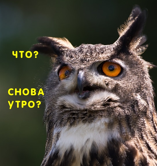 Хостинг картинок yapx.ru