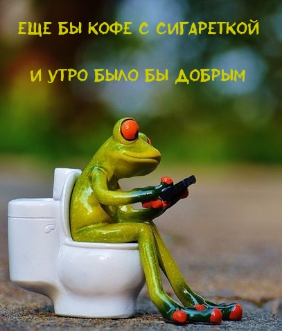 Хостинг картинок yapx.ru