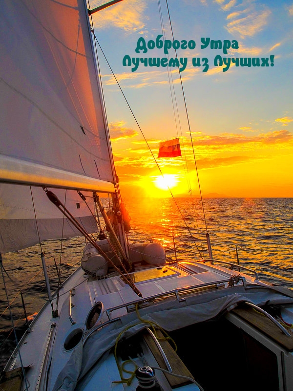 Хостинг картинок yapx.ru