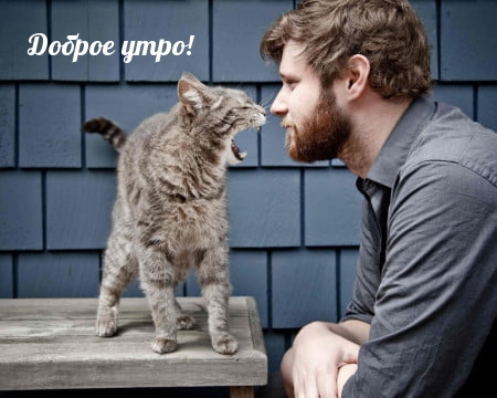 Хостинг картинок yapx.ru