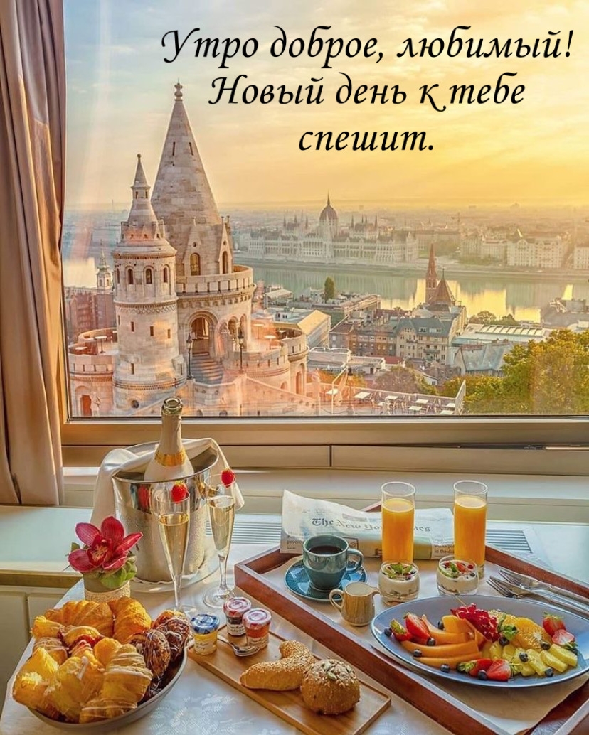 Трогательная картинка на вацап (whatsApp) парню, другу, мужчине, начальнику с надписью доброе утро!