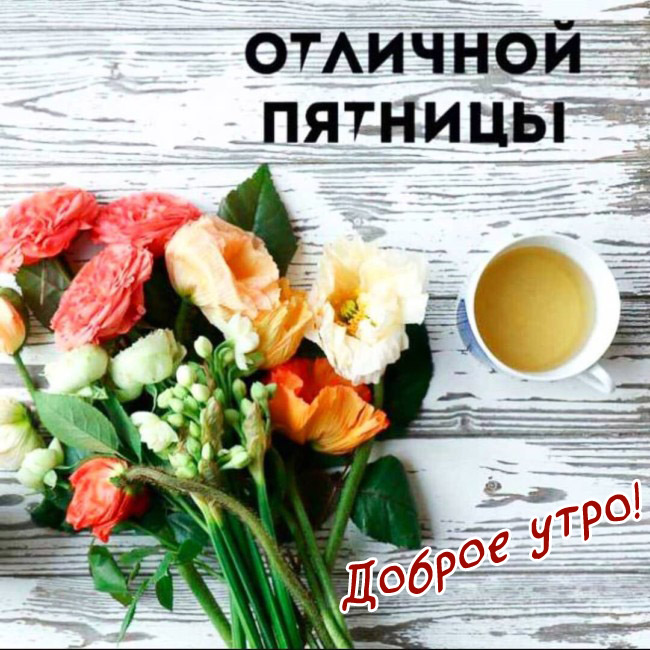 Доброе утро с пятницей смешные, Доброе утро пятницы прикольные необычные.