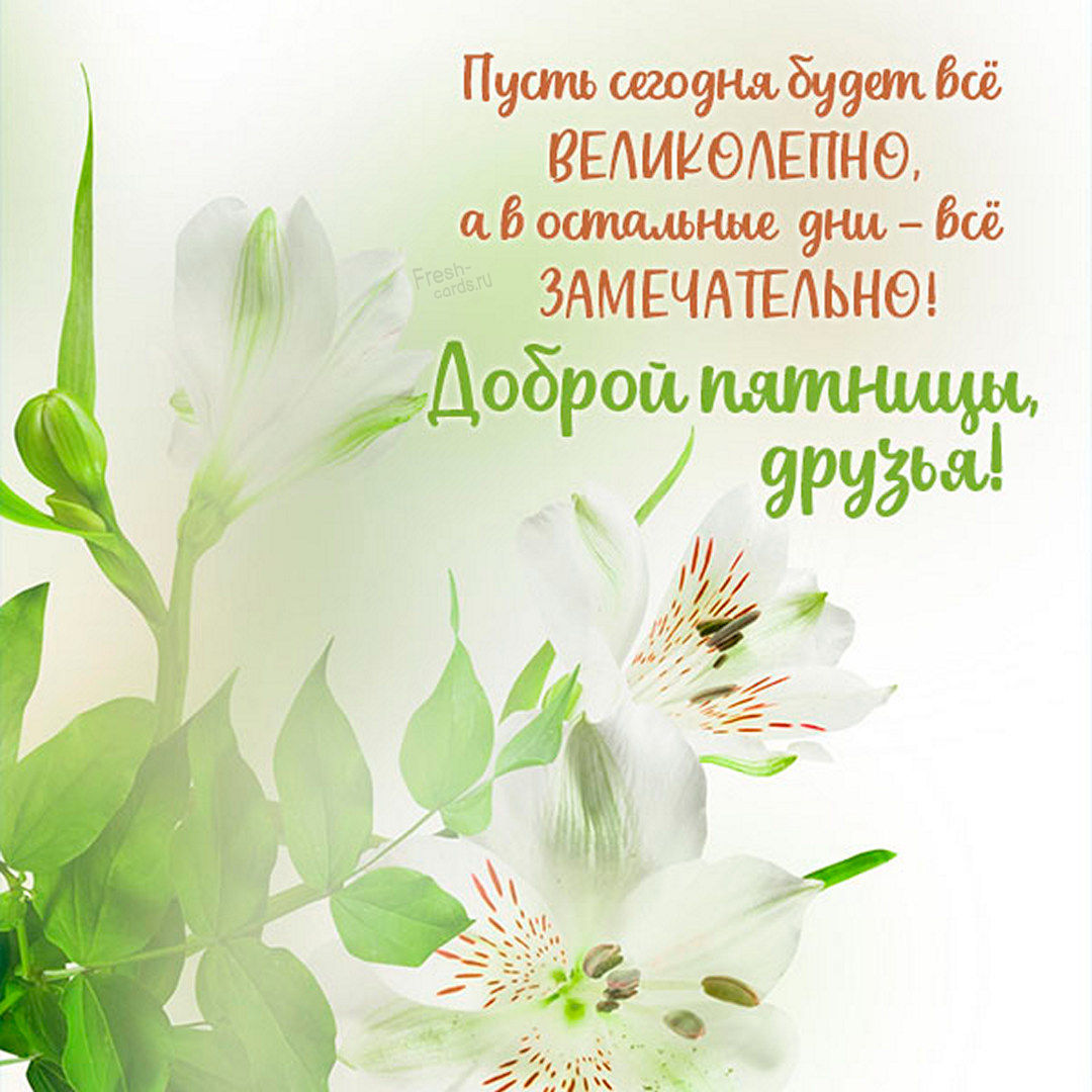 Хостинг картинок yapx.ru