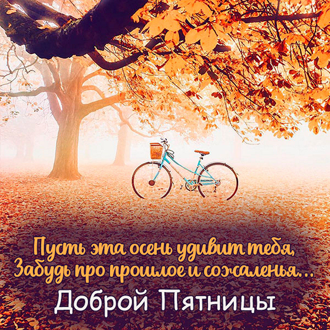 Хостинг картинок yapx.ru