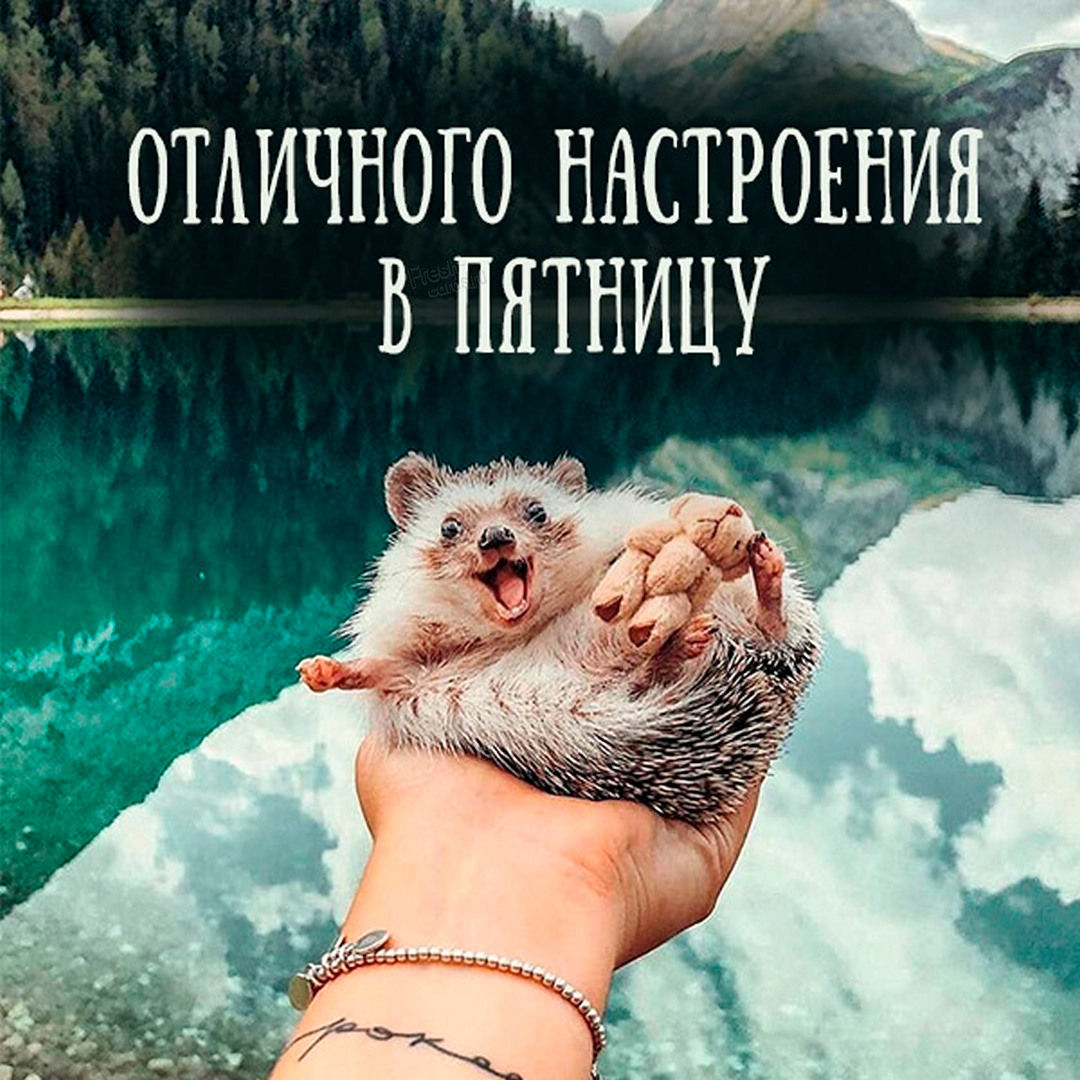 Хостинг картинок yapx.ru