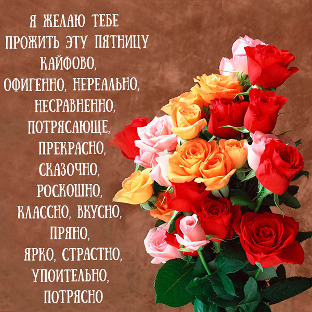 Хостинг картинок yapx.ru