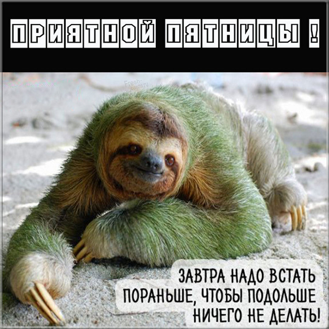 Хостинг картинок yapx.ru