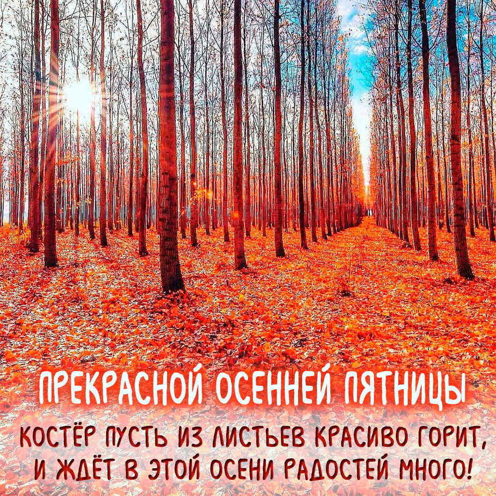 Хостинг картинок yapx.ru