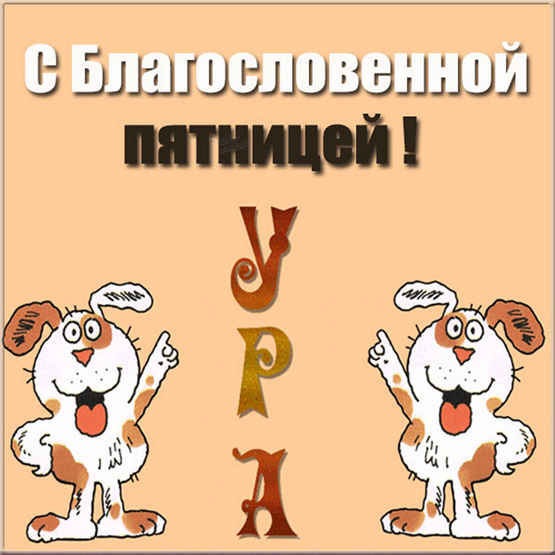 Пятница открытки красивые, Красивые поздравления с пятницей.