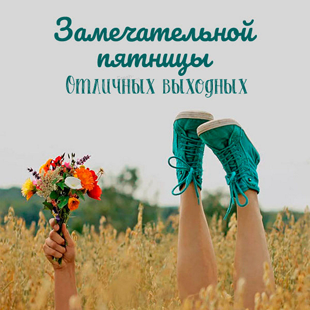 Хостинг картинок yapx.ru