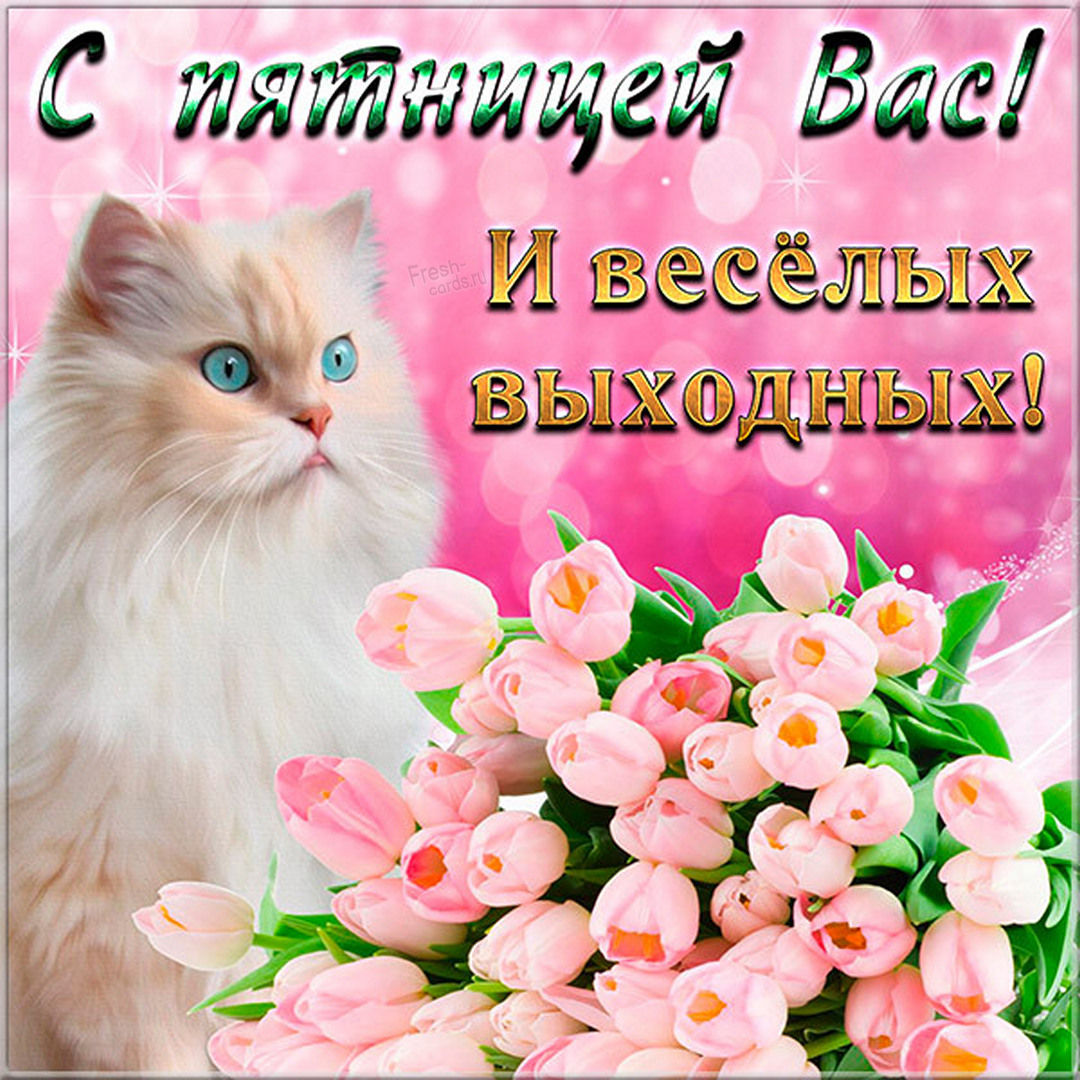 Хостинг картинок yapx.ru