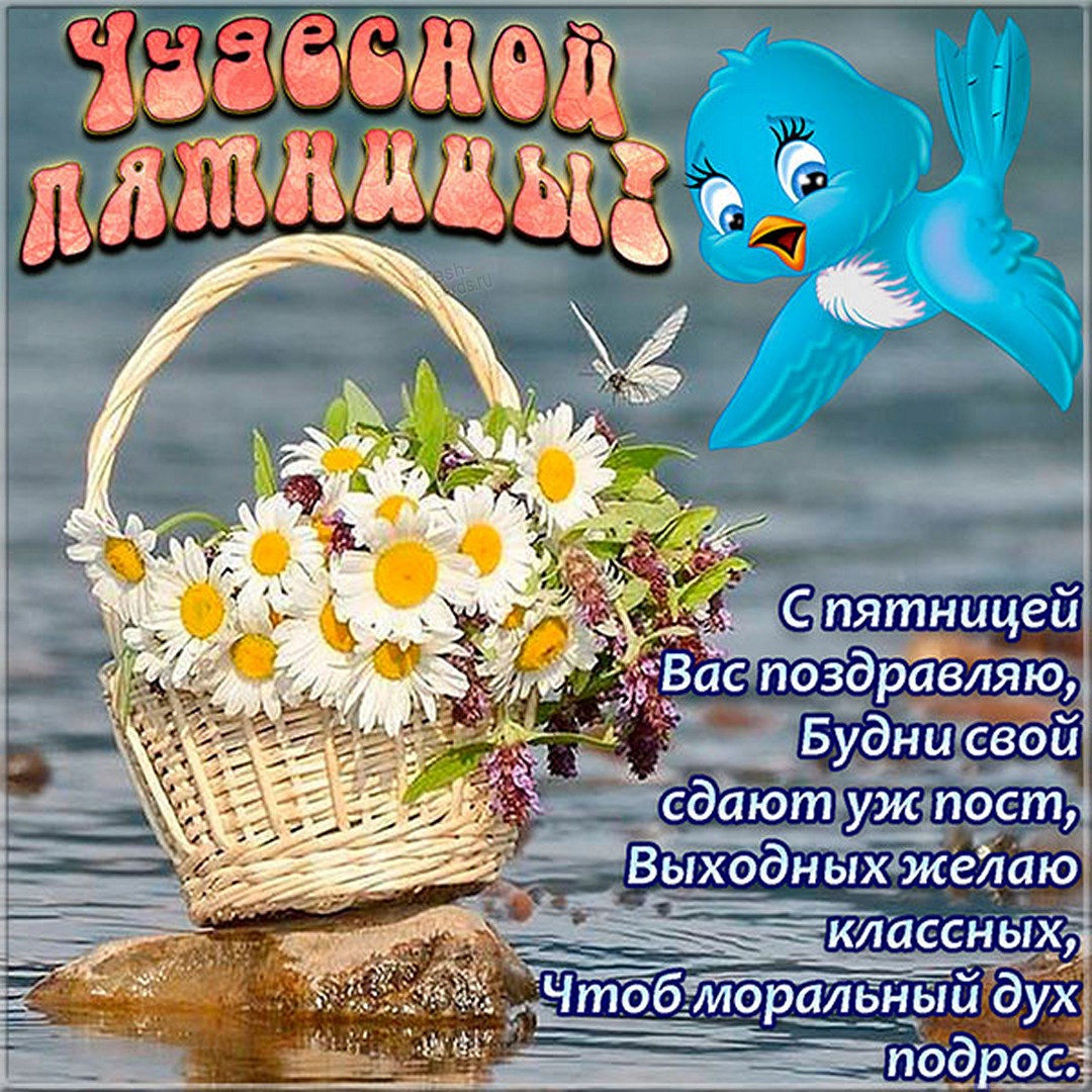 Хостинг картинок yapx.ru