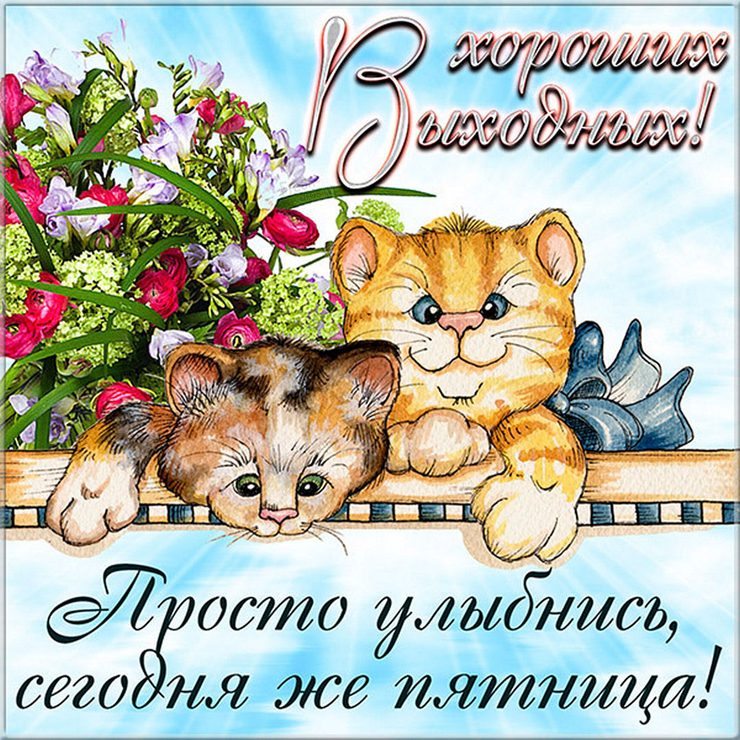 Хостинг картинок yapx.ru