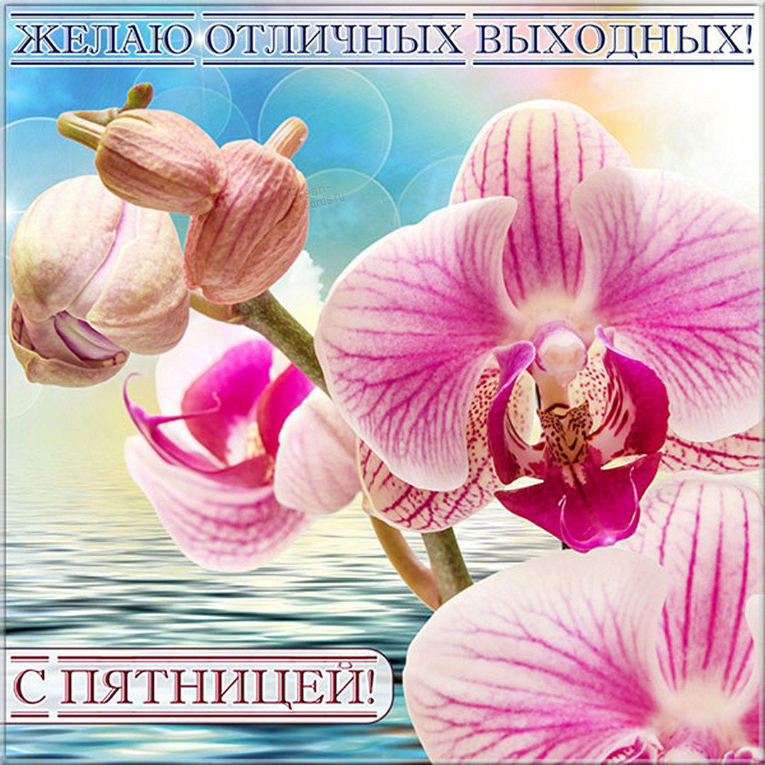 Хостинг картинок yapx.ru