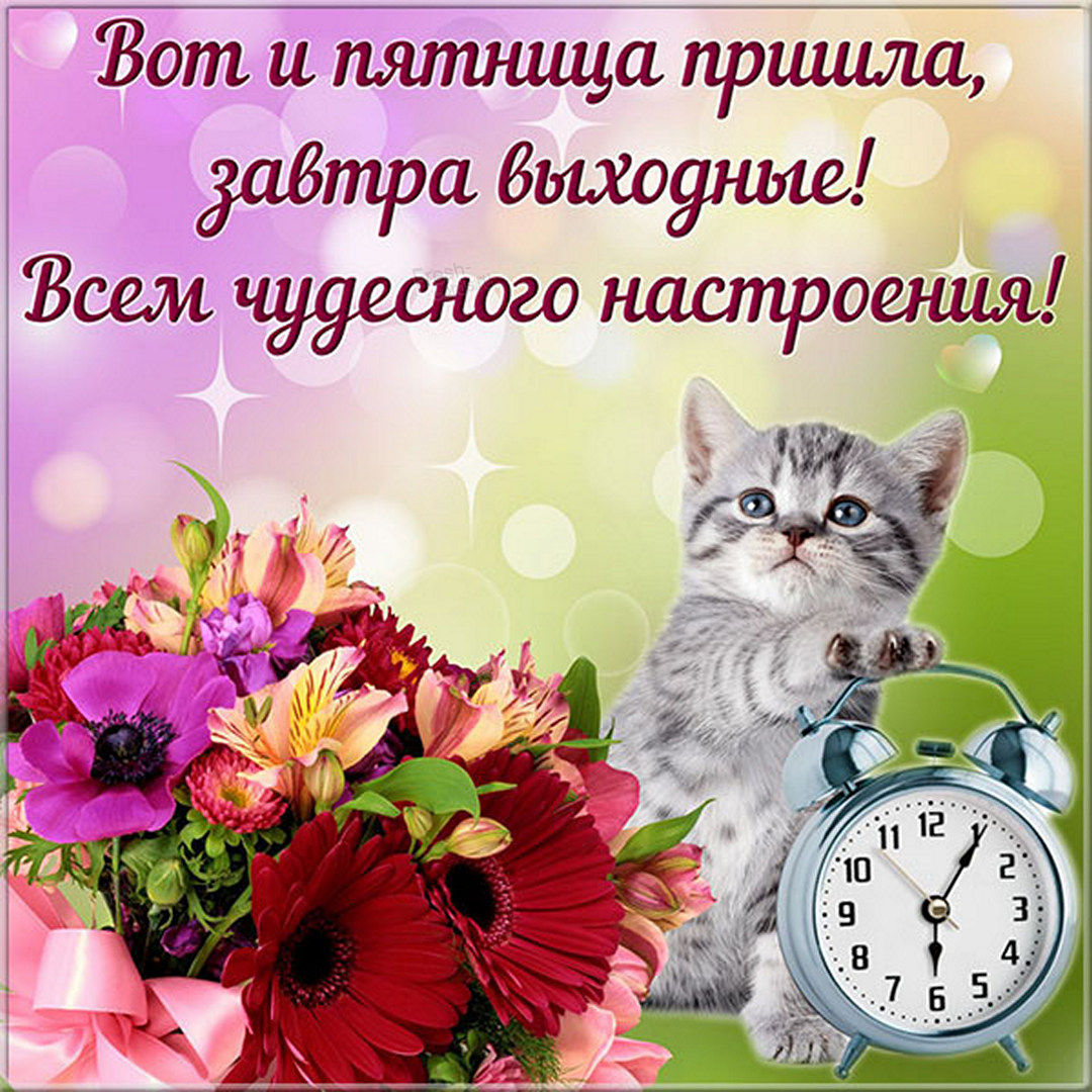 Хостинг картинок yapx.ru