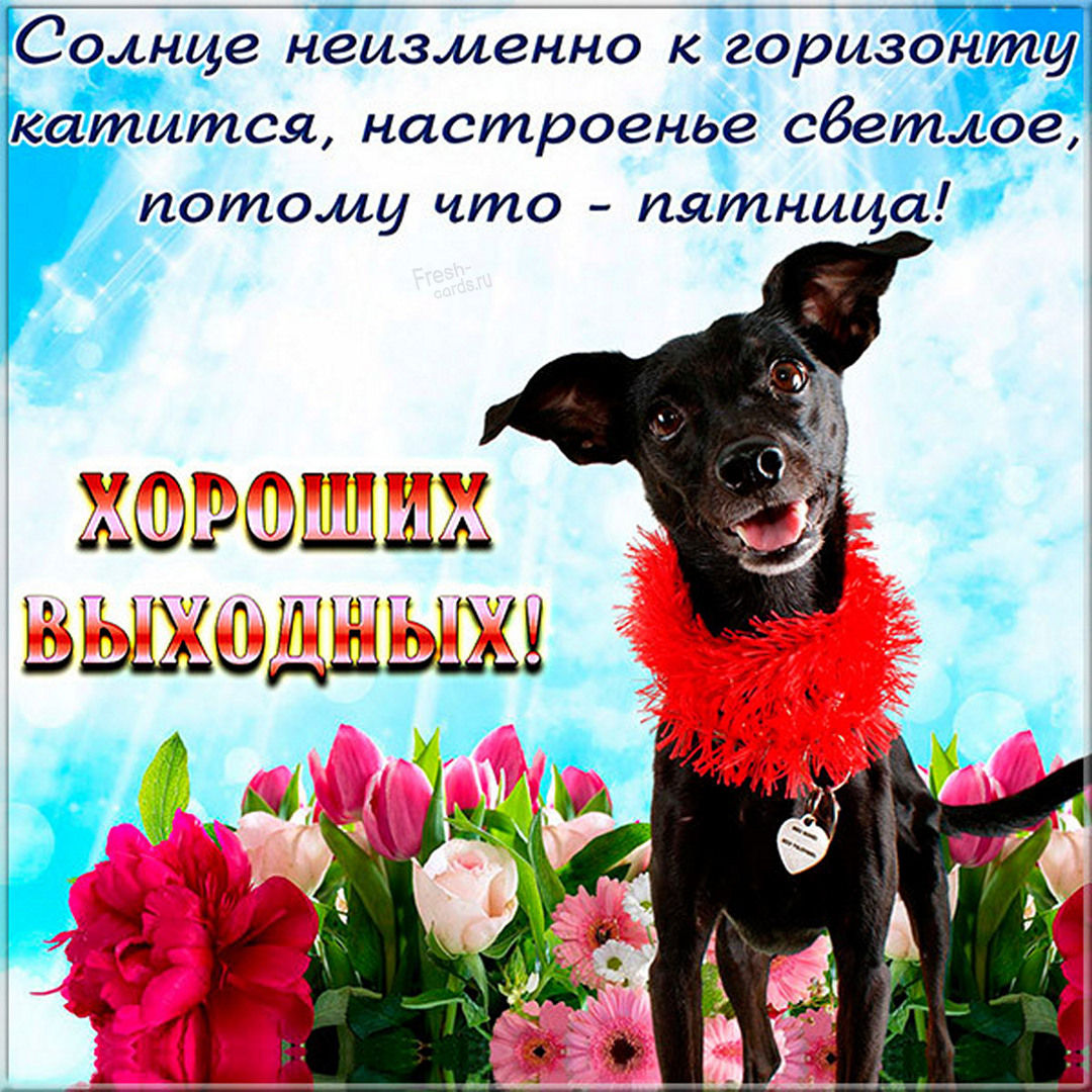 Хостинг картинок yapx.ru