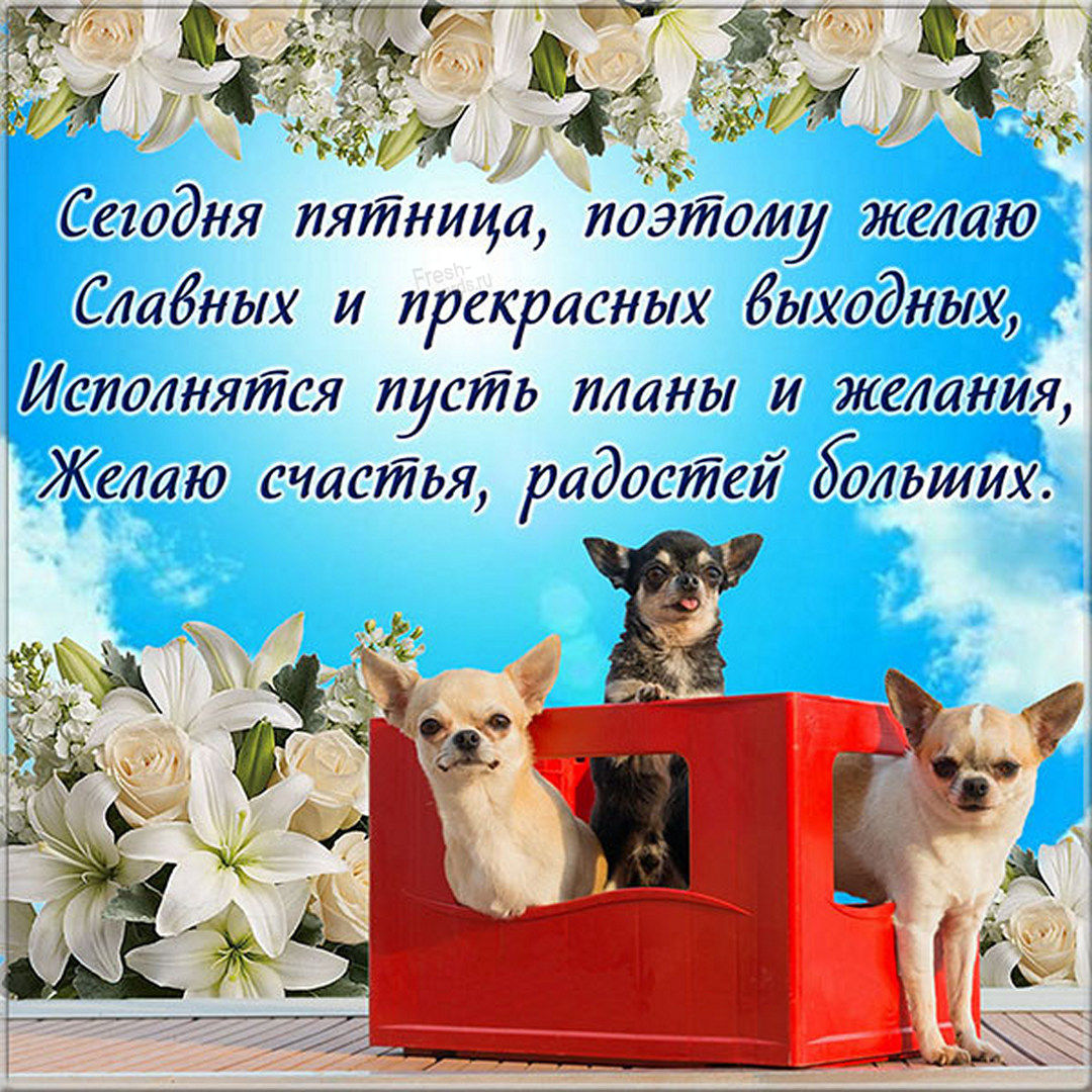 Хостинг картинок yapx.ru