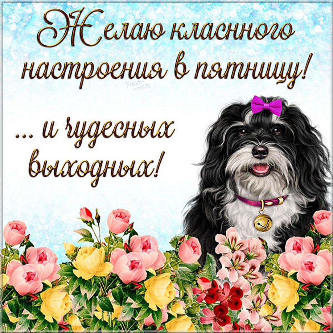 Хостинг картинок yapx.ru