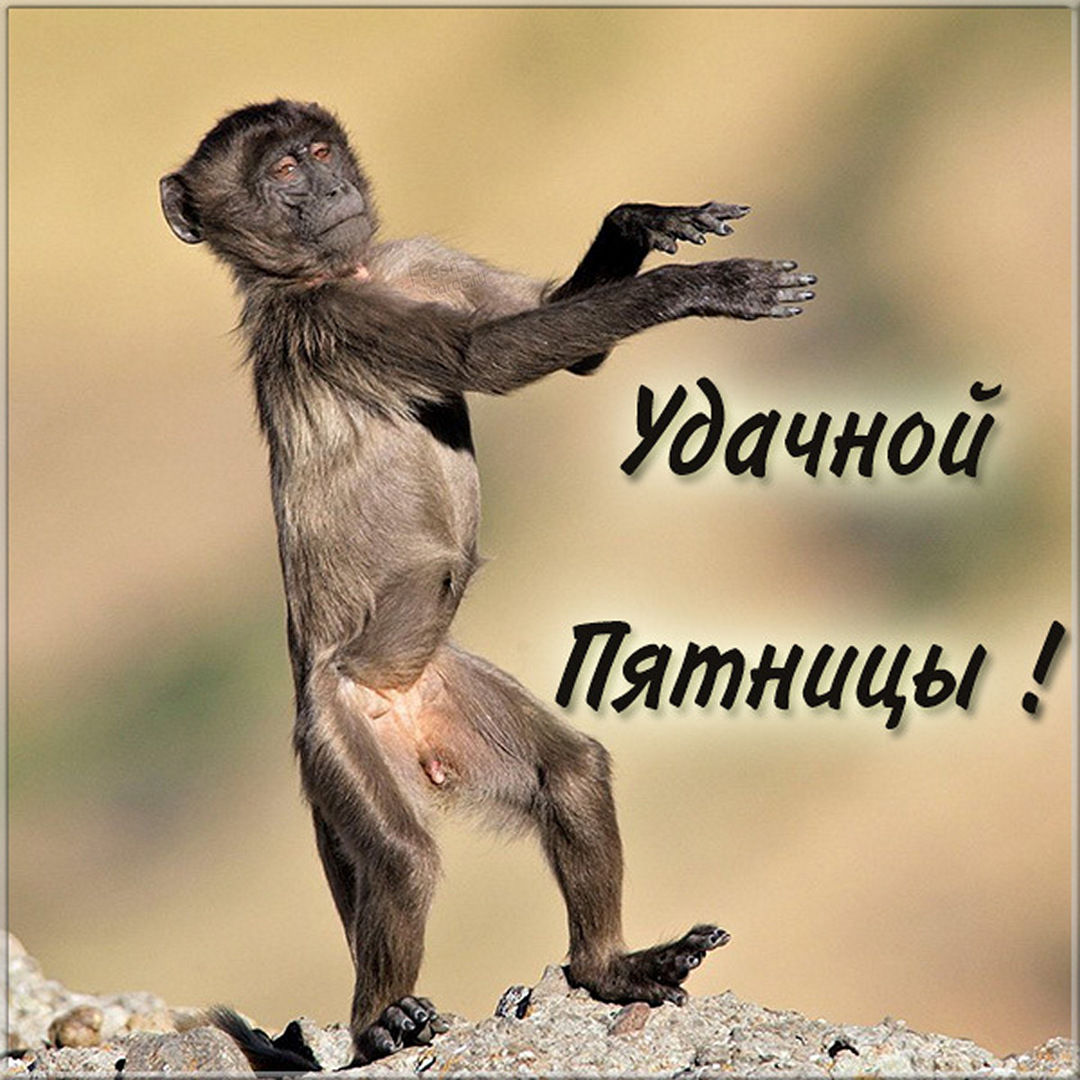 Хостинг картинок yapx.ru