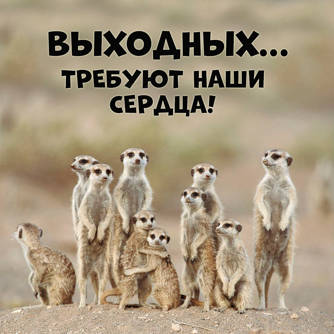 Хостинг картинок yapx.ru