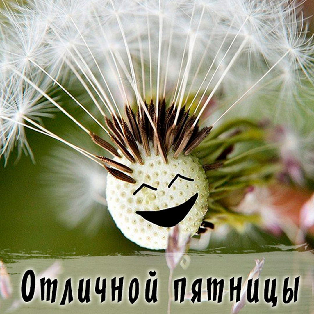 Хостинг картинок yapx.ru