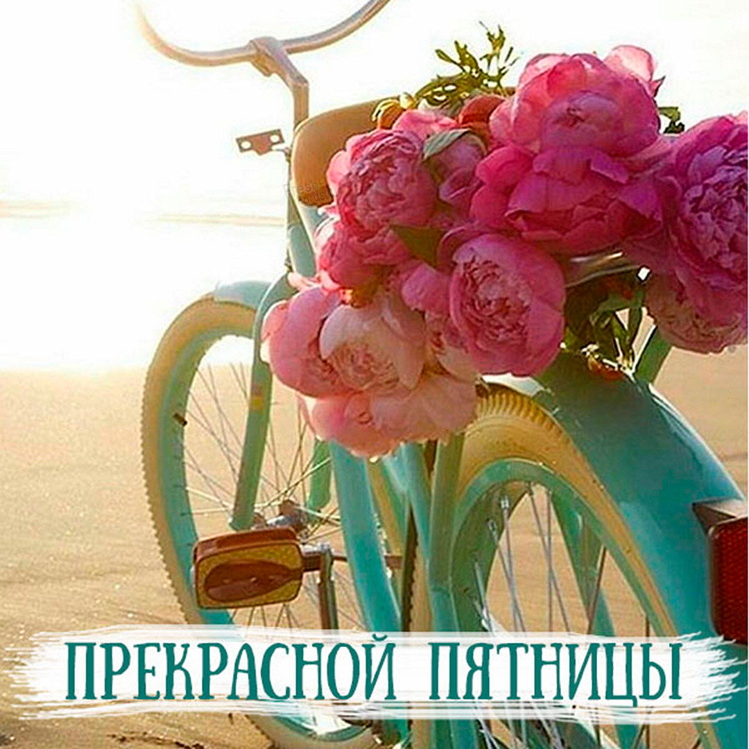 Хостинг картинок yapx.ru