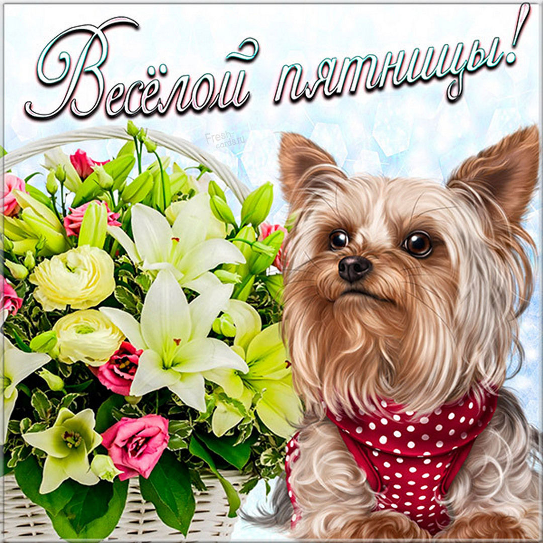 Хостинг картинок yapx.ru