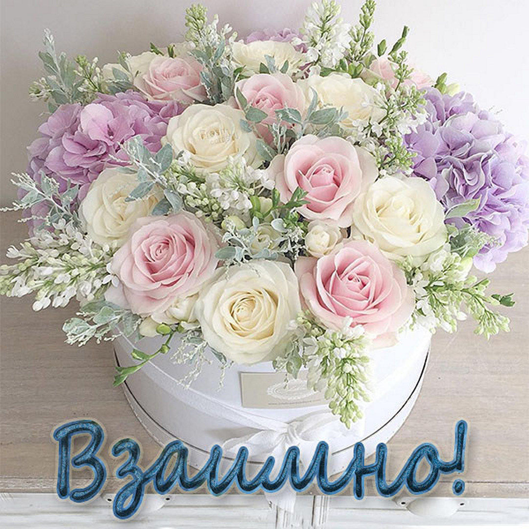 Хостинг картинок yapx.ru