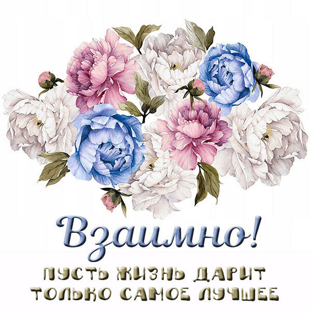 Хостинг картинок yapx.ru