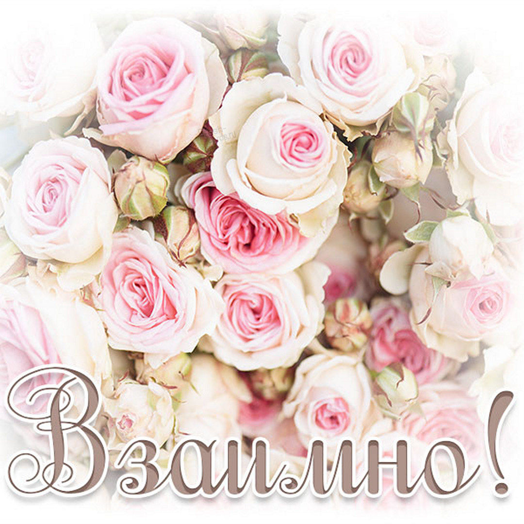 Хостинг картинок yapx.ru