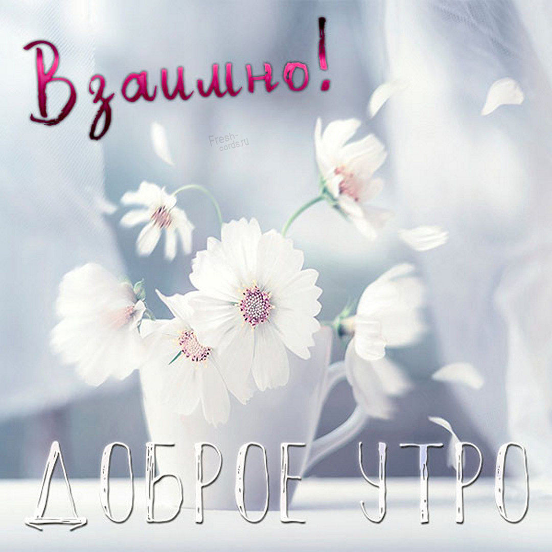 Картинка взаимно с добрым утром! Картинка взаимно с добрым утром!