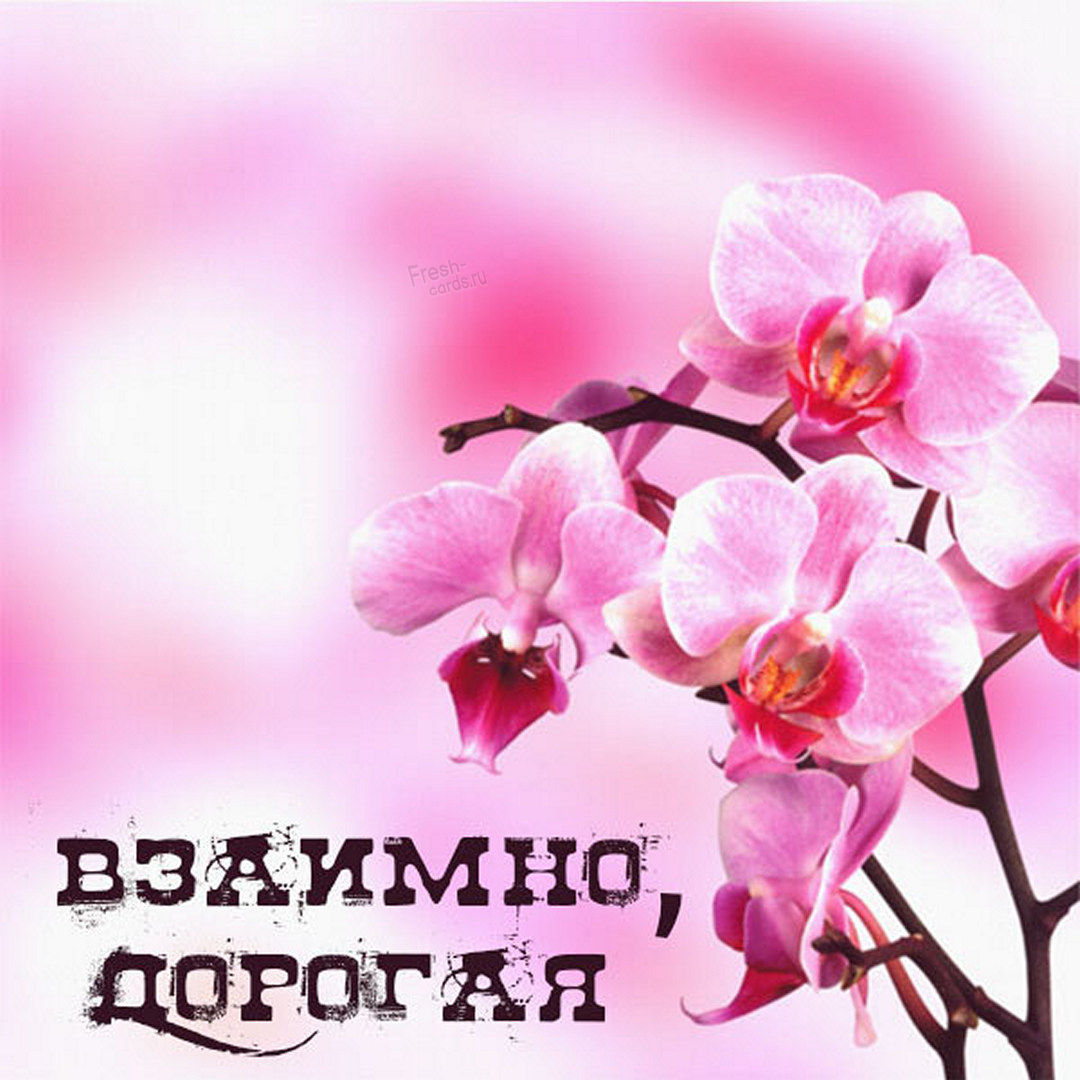 Весенняя открытка взаимно дорогая! Весенняя открытка взаимно дорогая!