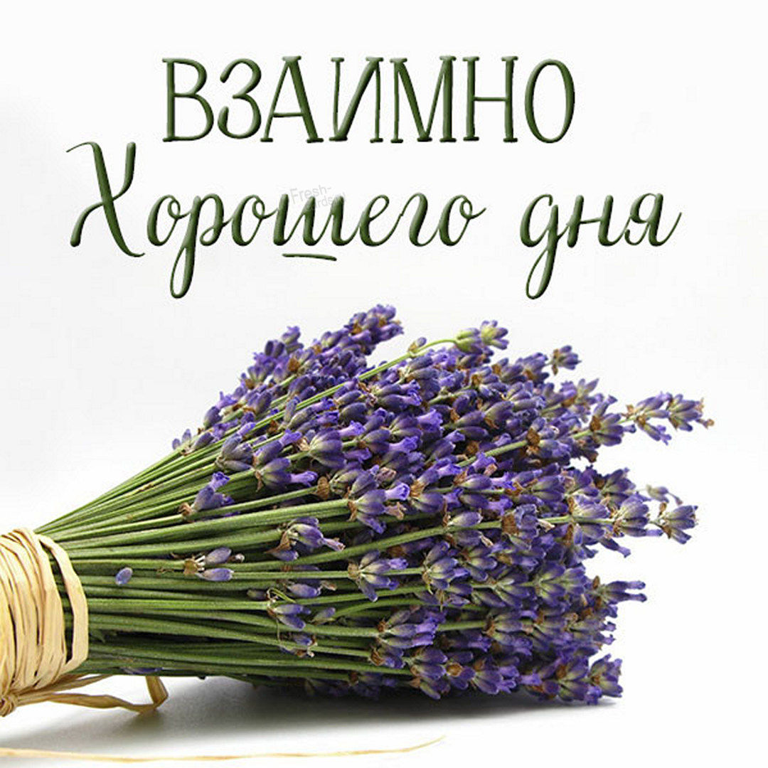 Взаимное пожелание хорошего дня! Взаимное пожелание хорошего дня!