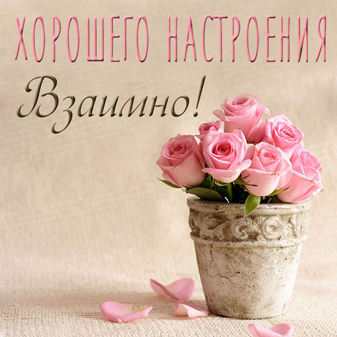 Нежная картинка хорошего настроения, взаимно! Нежная картинка хорошего настроения, взаимно!