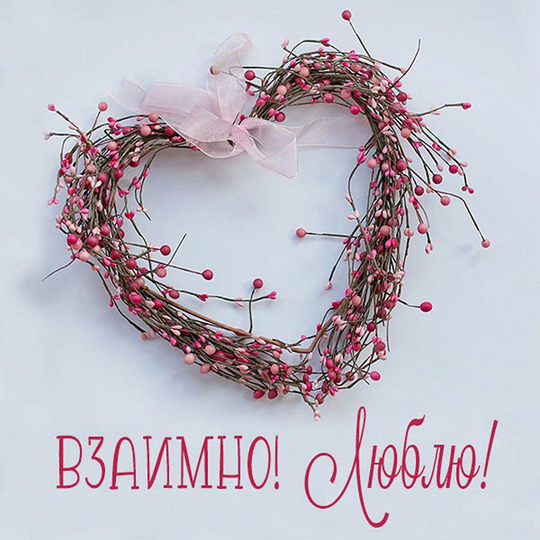 Хостинг картинок yapx.ru