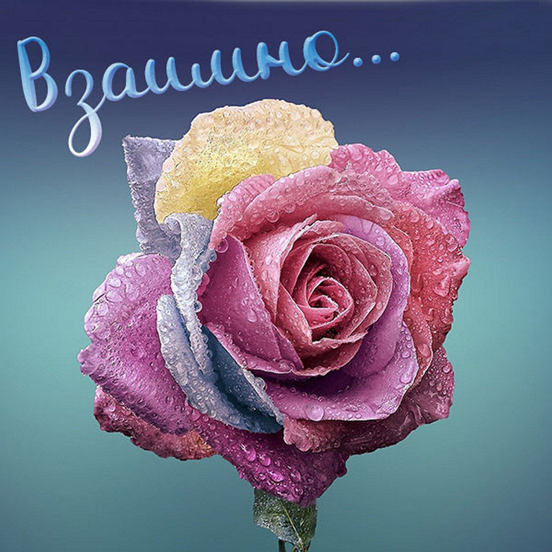 Хостинг картинок yapx.ru