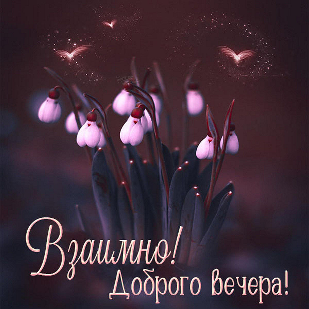 Открытка взаимно доброго вечера! Открытка взаимно доброго вечера!