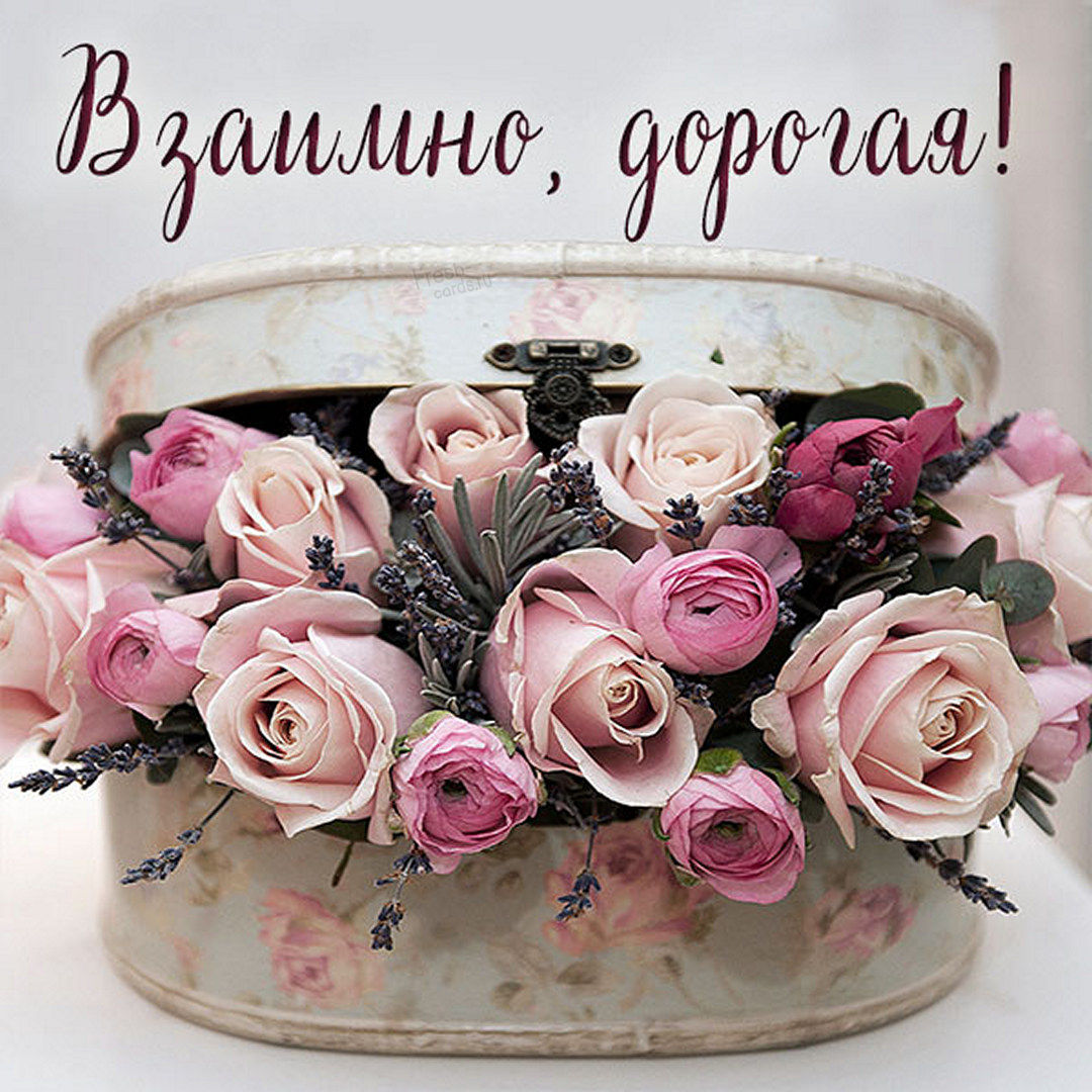 Хостинг картинок yapx.ru