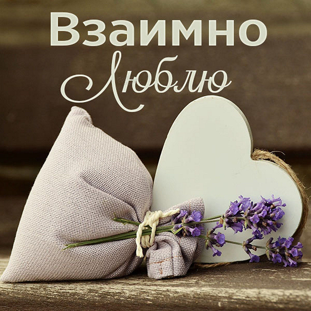 Хостинг картинок yapx.ru