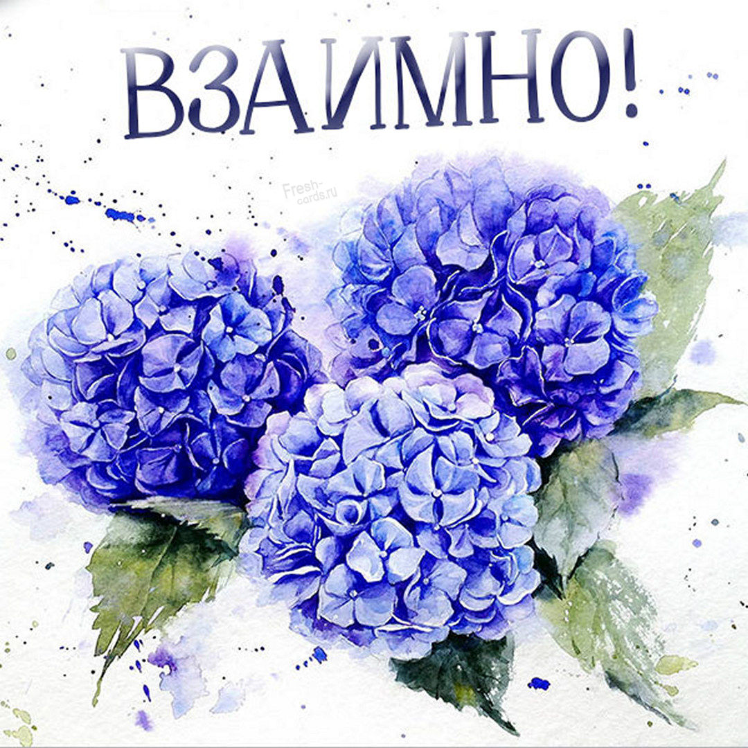 Хостинг картинок yapx.ru