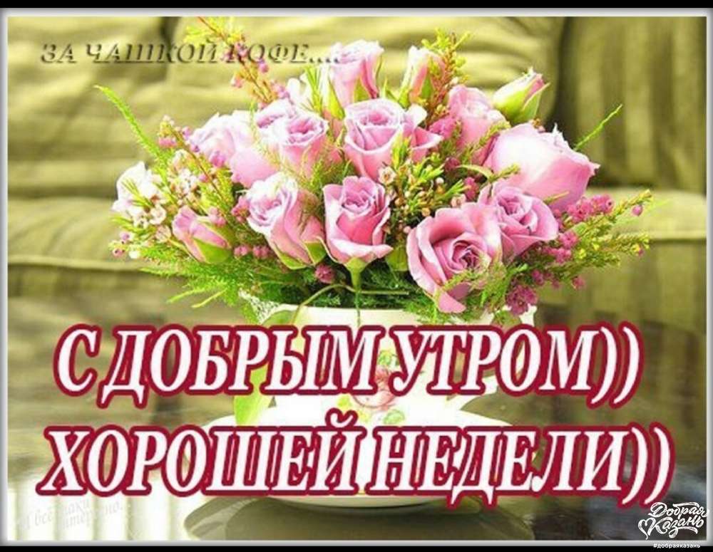 С добрым утром, с началом новой недели. С добрым утром, с началом новой недели.