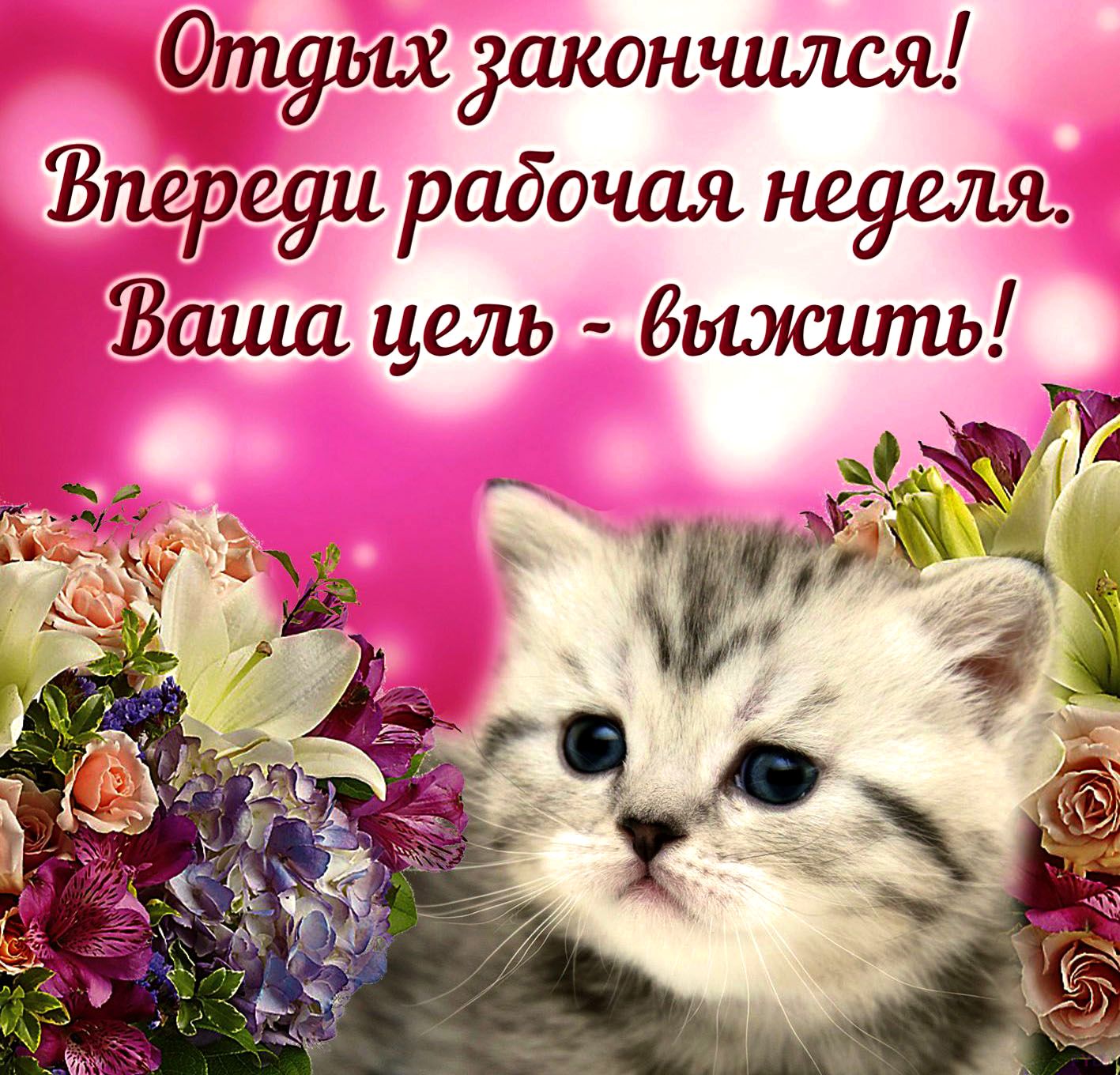 С добрым утром Понедельник, прикольные картинки (30 фото). С добрым утром Понедельник, прикольные картинки (30 фото).