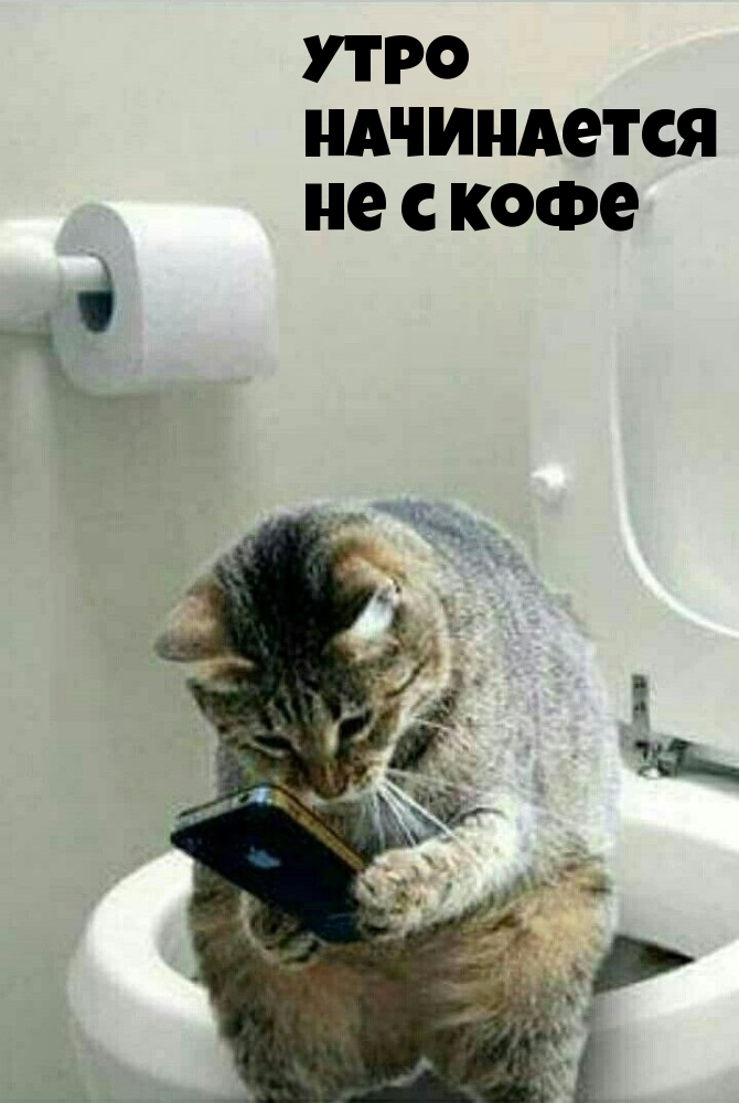 Доброе утро прикольные картинки с надписями. Доброе утро прикольные картинки с надписями.