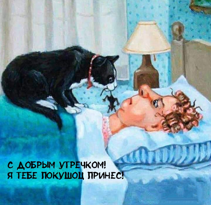 Картинка "Доброе утро!" с прикольной кошкой скачать и отправить... Картинка "Доброе утро!" с прикольной кошкой скачать и отправить...