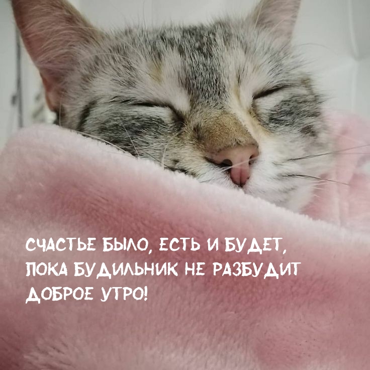 Прикольные и необычные картинки с добрым утром. Прикольные и необычные картинки с добрым утром.