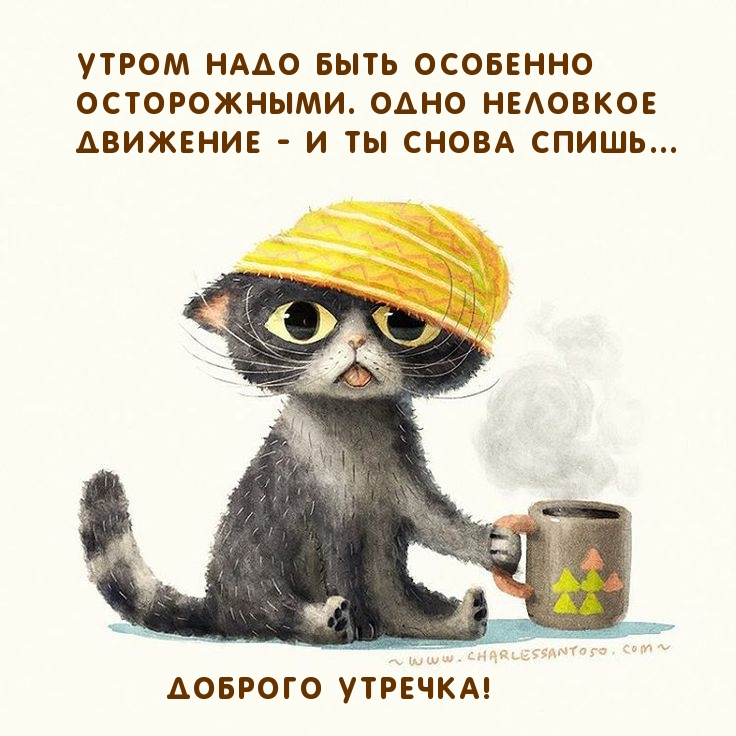 Кошачий Арт, Гринч, Доброе Утро, Шутки, Шутки, Кошки, Картинки. Картинки с добрым утром прикольные. Кошачий Арт, Гринч, Доброе Утро, Шутки, Шутки, Кошки, Картинки. Картинки с добрым утром прикольные.