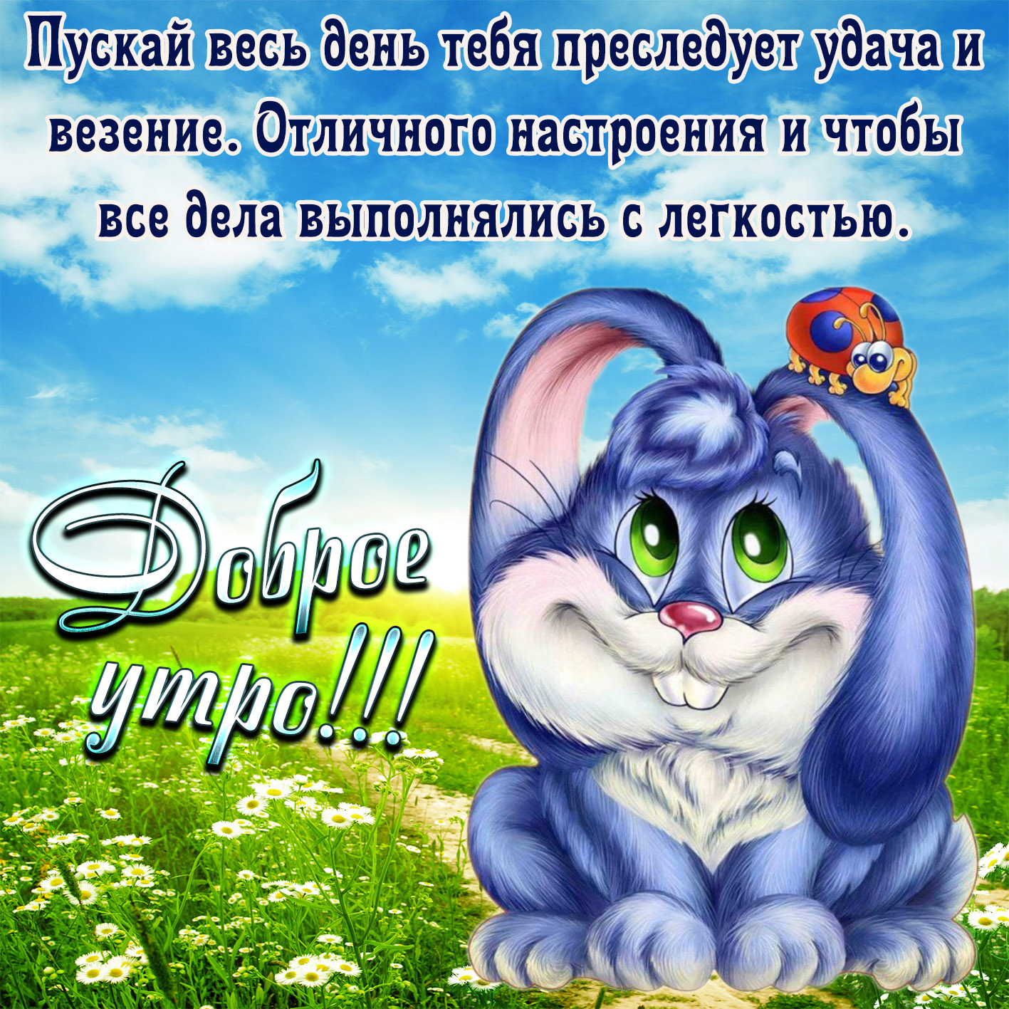 Смешные пожелания доброго утра. Смешные пожелания доброго утра.