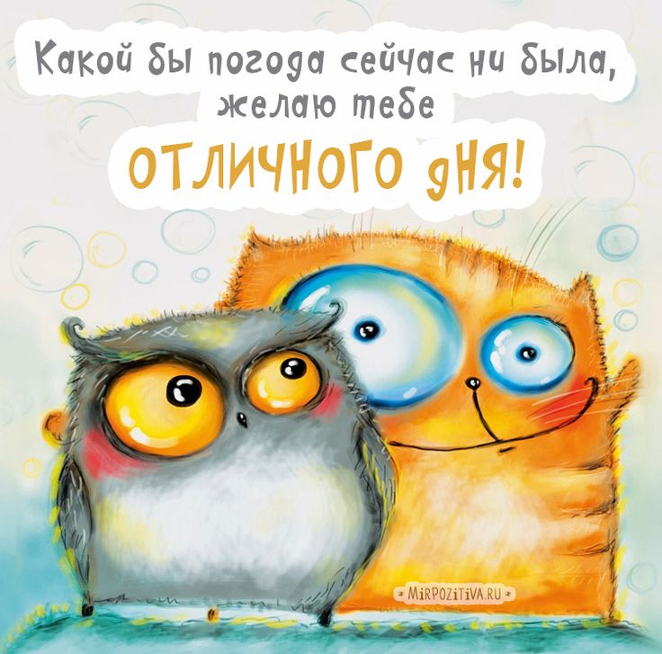 Открытки с добрым утром с юмором. Открытки с добрым утром с юмором.