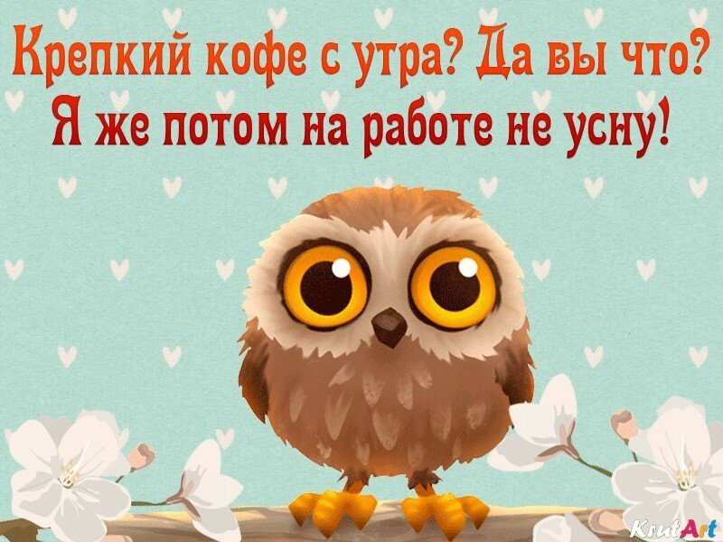 Веселые картинки с добрым утром. Веселые картинки с добрым утром.